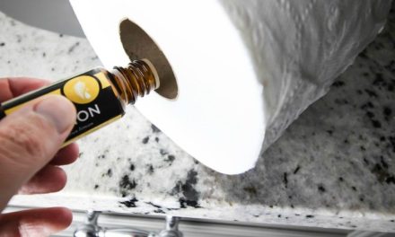 Trik Kamar Wangi Hotel: Teteskan Minyak Esensial Di Tisu Toilet