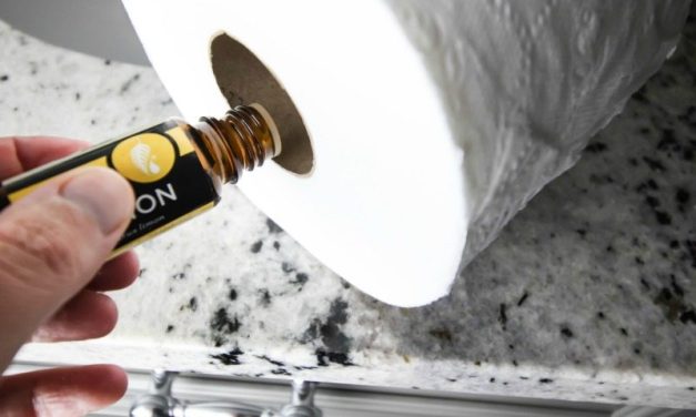 Trik Kamar Wangi Hotel: Teteskan Minyak Esensial Di Tisu Toilet