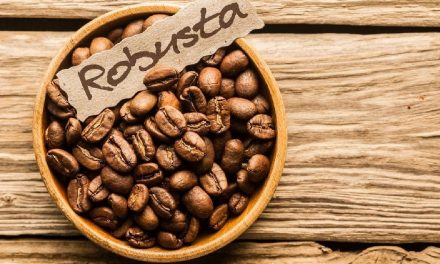 Kopi Robusta Lokal Kini Jadi Primadona Baru Coffee Shop Jakarta