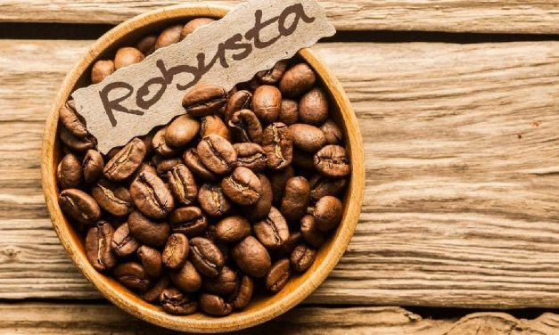 Kopi Robusta Lokal Kini Jadi Primadona Baru Coffee Shop Jakarta