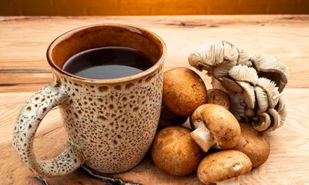 Tren Minum Air Jamur Fungsional Di Kalangan Silicon Valley