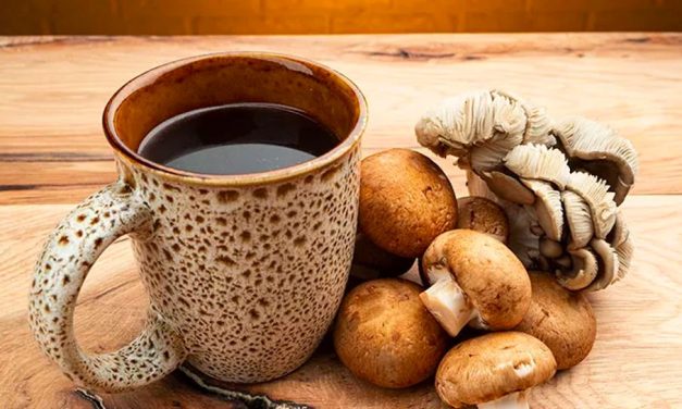 Tren Minum Air Jamur Fungsional Di Kalangan Silicon Valley