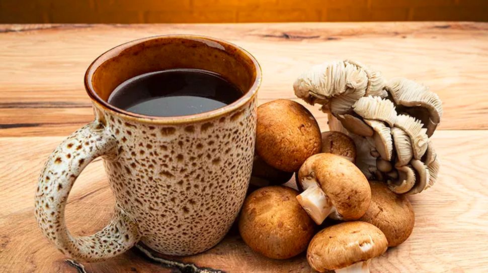 Tren Minum Air Jamur Fungsional Di Kalangan Silicon Valley