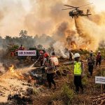 Presiden Dorong Terobosan Waterbombing Hingga Ubi Bombing