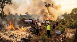 Presiden Dorong Terobosan Waterbombing Hingga Ubi Bombing