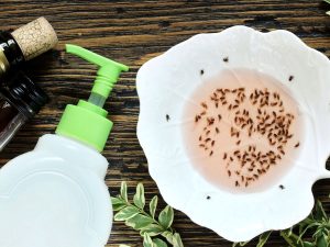 Cara Alami Mengusir Lalat Buah Pakai Gelas Berisi Cuka Apel