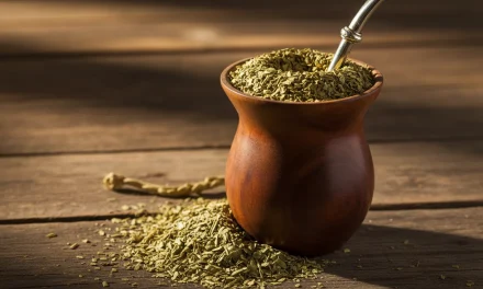 Sensasi Seduhan Yerba Mate Untuk Produktivitas Pekerja Modern